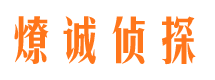 民丰资产调查